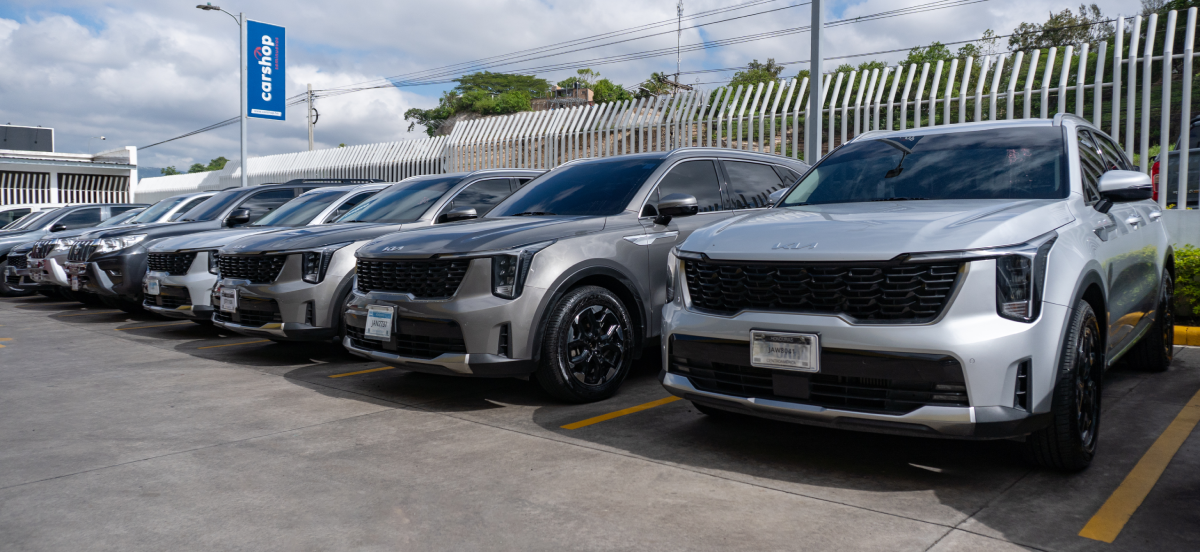 Carshop Seminuevos - Flota tgu